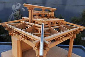 圖片展示